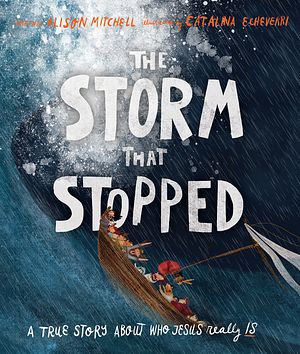 Cover Art for 9781910307960, The Storm That Stopped by Alison Mitchell