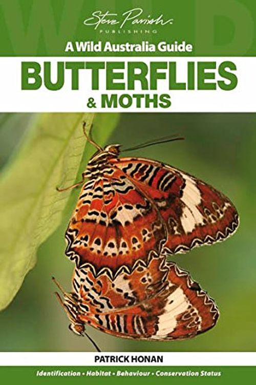 Cover Art for 9781741934069, Butterflies and Moths by Patrick Honan