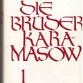 Cover Art for 9783538065284, Die Brüder Karamasow by Fe͏̈dor Michajlovič Dostoevskij