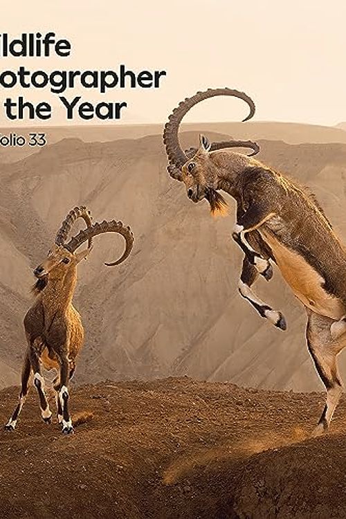 Cover Art for 9780565095451, Wildlife Photographer of the Year Portfolio 33: Volume 33 by Natural History Museum