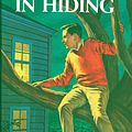 Cover Art for 9780448089164, Hardy Boys 16: A Figure in Hiding by Franklin W. Dixon