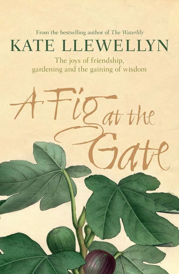 Cover Art for 9781743438916, A Fig at the Gate by Kate Llewellyn