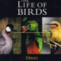 Cover Art for 9397810050297, Life Of Birds - David Attenborough  [3 Discs] by Roadshow Home Ent