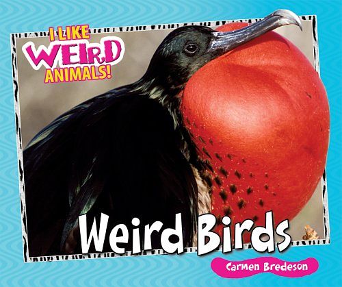 Cover Art for 9780766031241, Weird Birds by Carmen Bredeson