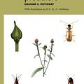 Cover Art for 9781784275167, Aphid predators: 11 by Graham E. Rotheray