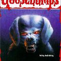 Cover Art for 9780785759720, The Barking Ghost (Goosebumps (Sagebrush)) by R. L. Stine