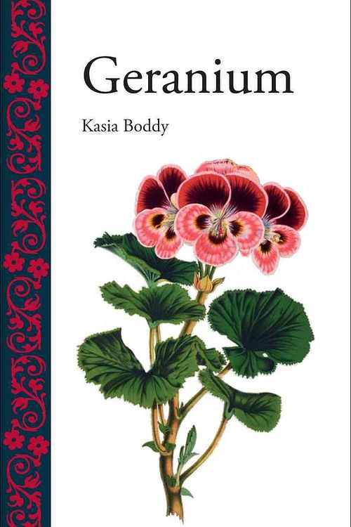 Cover Art for 9781780230481, Geranium by Kasia Boddy