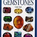 Cover Art for 9780751327311, Gemstones (DK Handbooks) by Cally Hall