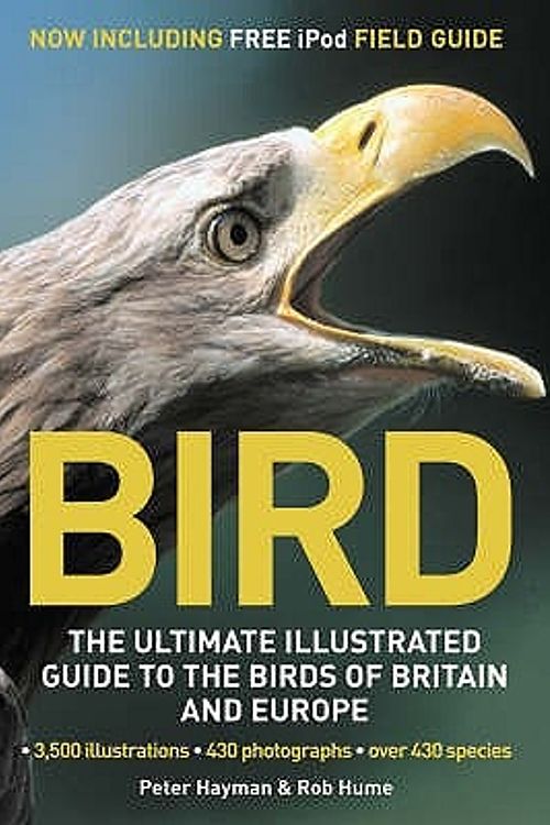 Cover Art for 9781845333386, Bird by Rob Hume