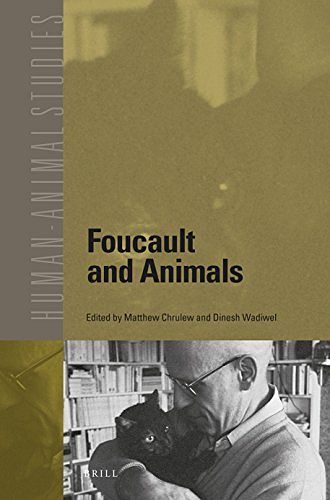 Cover Art for 9789004332249, Foucault and Animals (Human-Animal Studies) by Matthew Chrulew