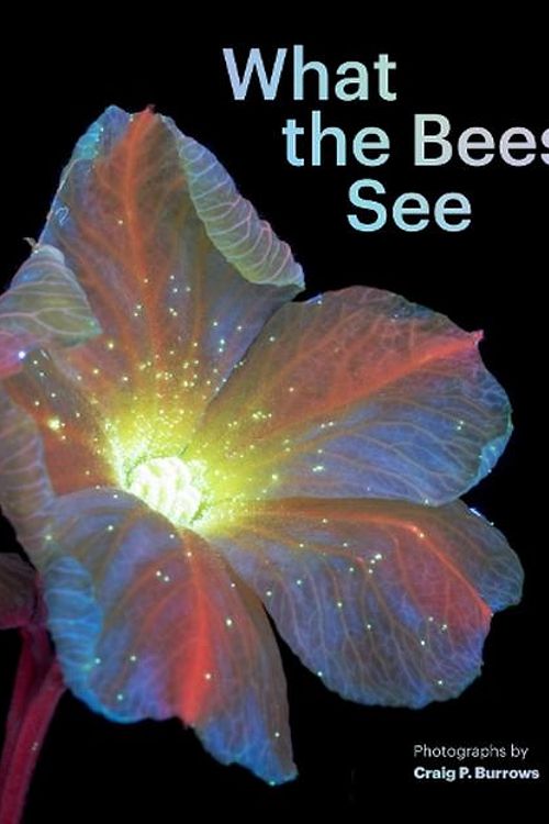 Cover Art for 9781797230184, What the Bees See: A Honeybee's Eye View of the World by Craig P. Burrows