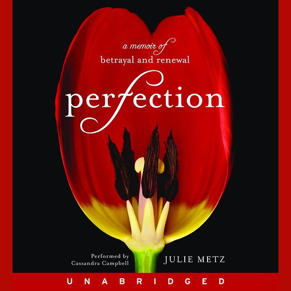 Cover Art for 9781401394868, Perfection by Julie Metz