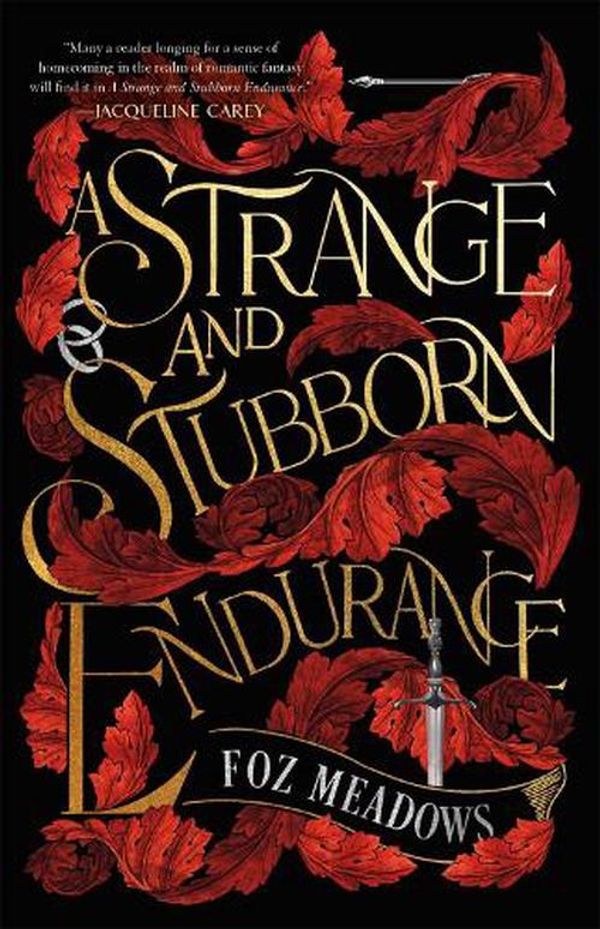 Cover Art for 9781250829290, A Strange and Stubborn Endurance by Foz Meadows