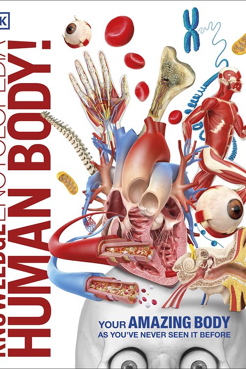 Cover Art for 9780241286852, Knowledge Encyclopedia Human Body! by DK