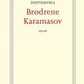 Cover Art for 9788256012862, Brødrene Karamasov by Fjodor Mikhajlovitsj Dostojevskij