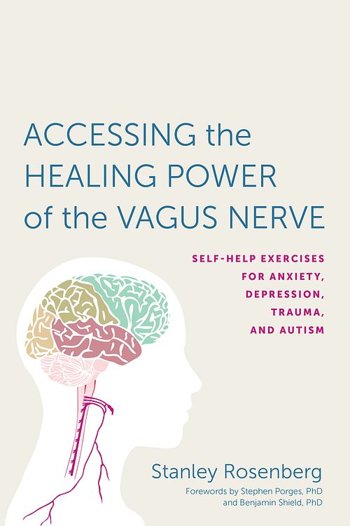 Cover Art for 9781623170240, Accessing the Healing Power of the Vagus Nerve: Self-Help Exercises for Anxiety, Depression, Trauma, and Autism by Stanley Rosenberg