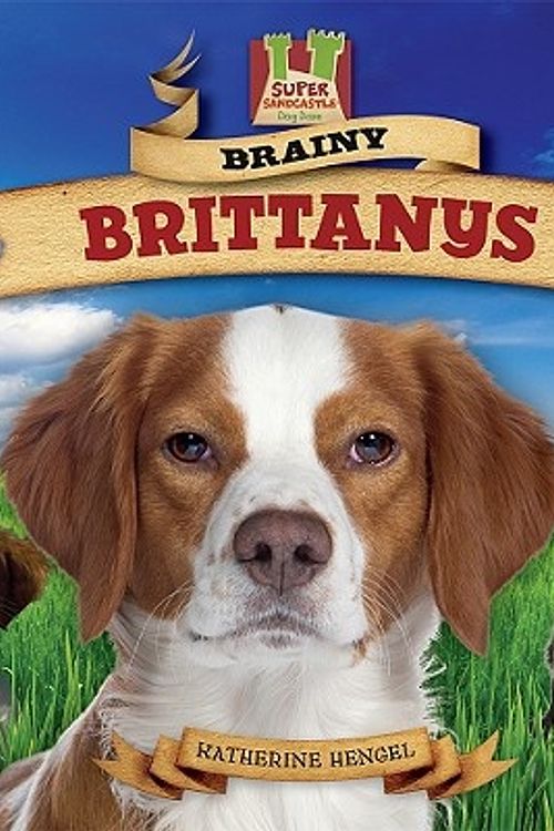 Cover Art for 9781604536164, Brainy Brittanys by Katherine Hengel