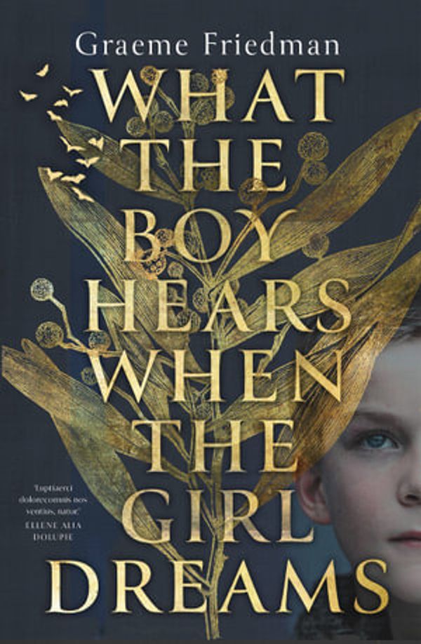 Cover Art for 9780645099607, What the Boy Hears When the Girl Dreams by GRAEME FRIEDMAN