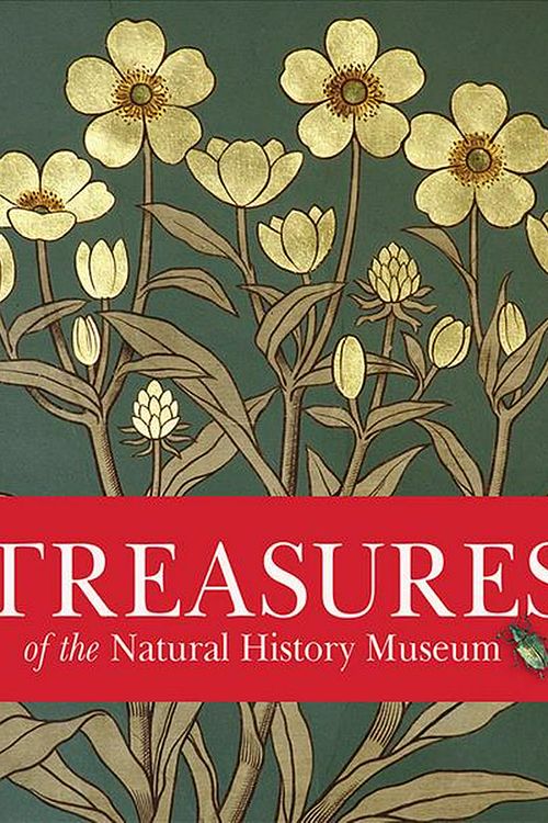 Cover Art for 9780565094393, Treasures of the Natural History MuseumPocket Edition by Vicky Paterson