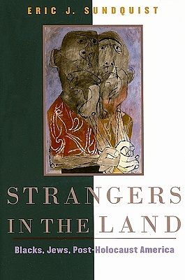 Cover Art for 9780674030695, Strangers in the Land by Eric J. Sundquist