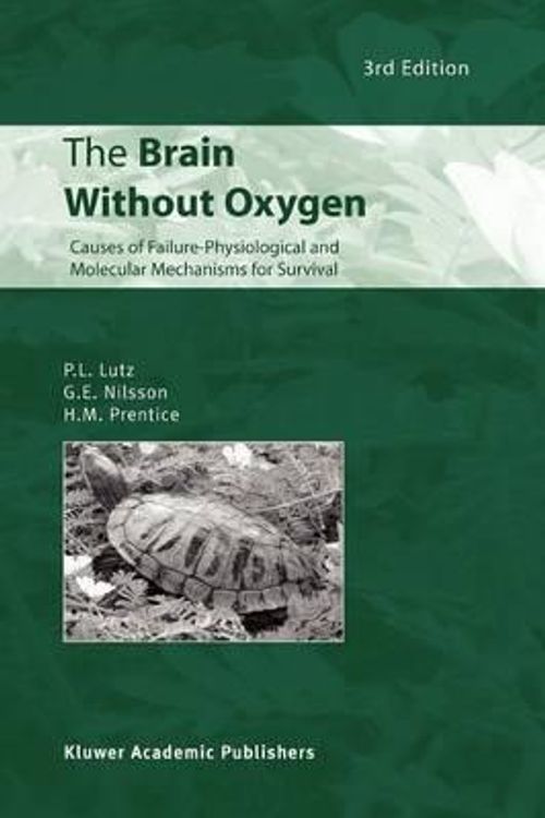 Cover Art for 9789048162376, The Brain Without Oxygen by Peter L. Lutz