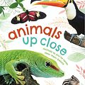 Cover Art for 9780241327395, Animals Up Close by DK