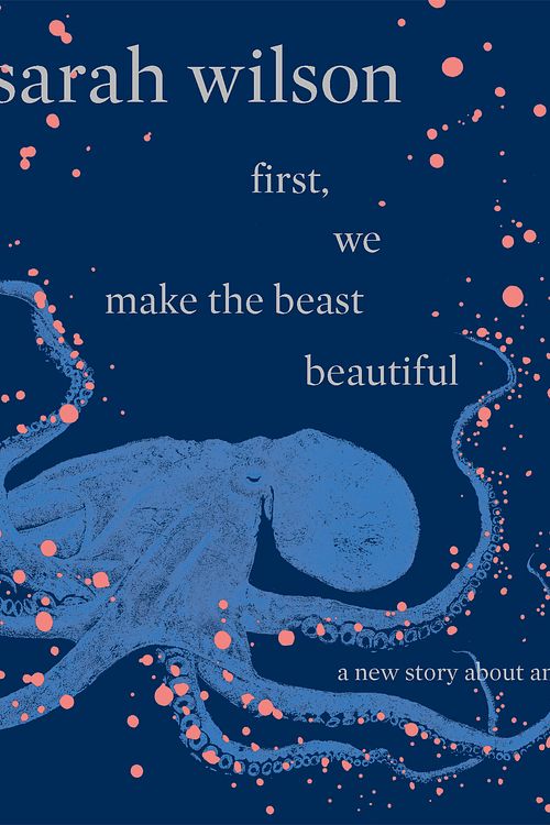 Cover Art for 9781743535868, First, we make the beast beautiful by Sarah Wilson