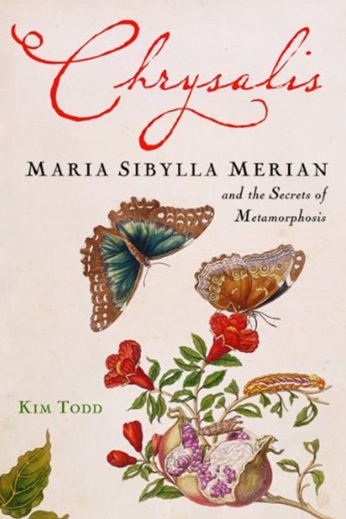 Cover Art for 9780151011087, Chrysalis: Maria Sibylla Merian and the Secrets of Metamorphosis by Kim Todd