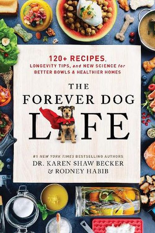 Cover Art for 9780063314009, The Forever Dog Life by Rodney Habib