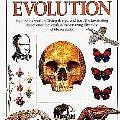 Cover Art for 9781564582331, Evolution by Linda Gamblin