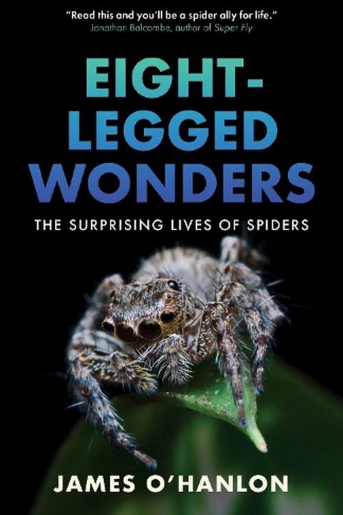 Cover Art for 9781778401541, Eight-Legged Wonders by James O'Hanlon