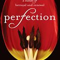 Cover Art for 9781401394448, Perfection by Julie Metz