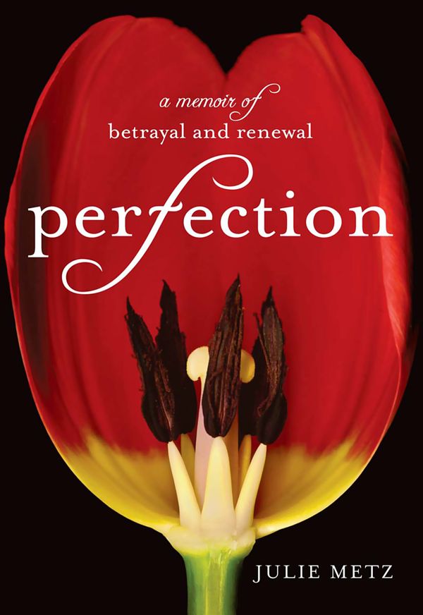 Cover Art for 9781401394448, Perfection by Julie Metz