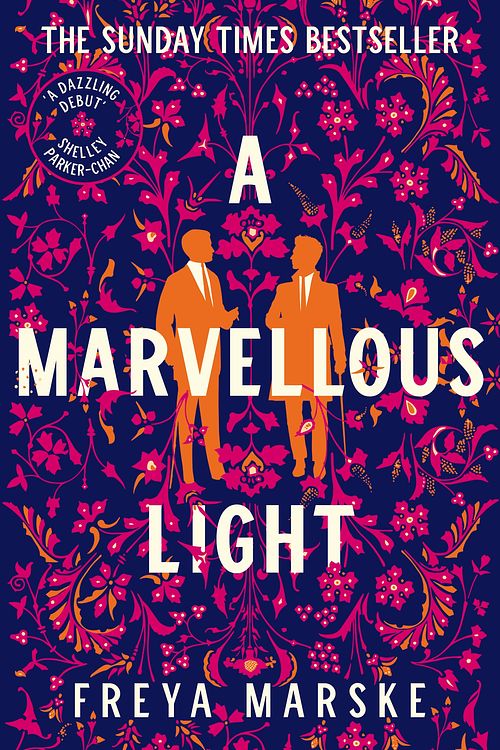 Cover Art for 9781529080902, A Marvellous Light by Freya Marske