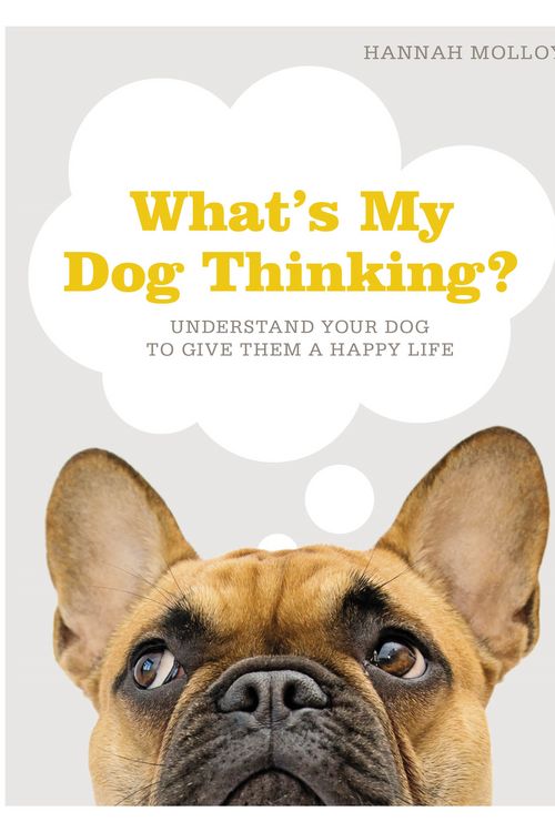 Cover Art for 9781465499424, What's My Dog Thinking? by Hannah Molloy