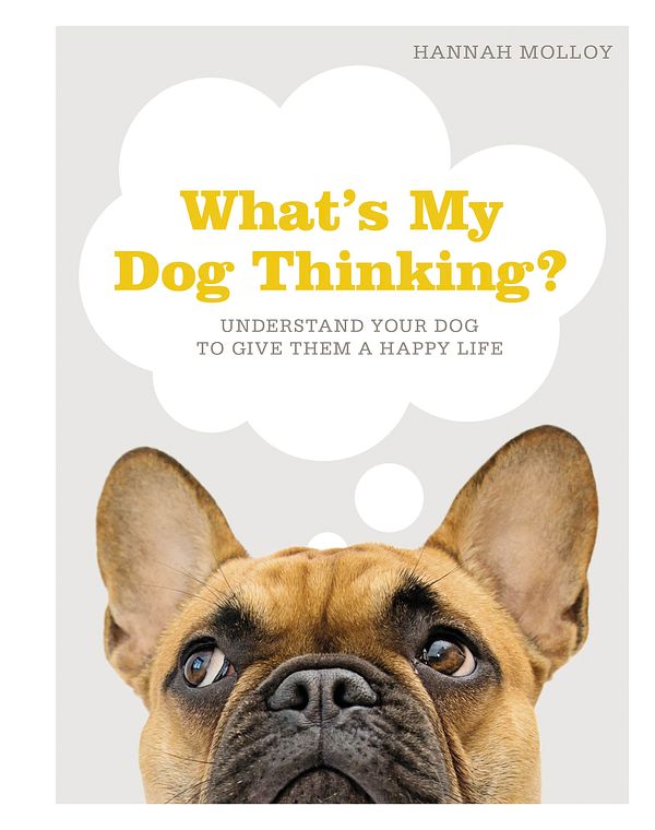 Cover Art for 9781465499424, What's My Dog Thinking? by Hannah Molloy