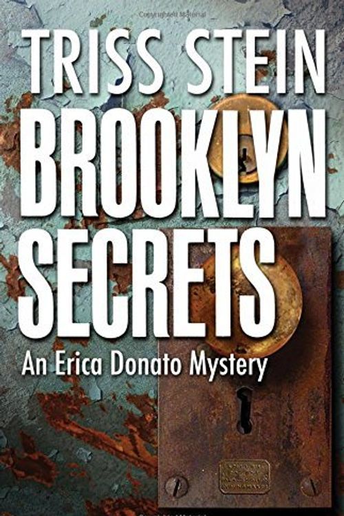 Cover Art for 9781464204128, Brooklyn Secrets: An Erica Donato Mystery (Erica Donato Mysteries) by Triss Stein