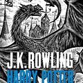 Cover Art for 9781408865422, Harry Potter and the Goblet of Fire by J.K. Rowling