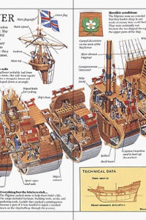 Cover Art for 9780751351637, Ships (Look Inside Cross-sections) by Carl D. Swanson