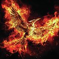 Cover Art for 9781407133195, Mockingjay by Suzanne Collins