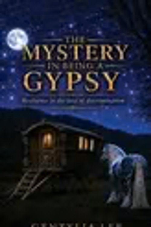 Cover Art for 9781803818801, The Mystery In Being A Gypsy by Gentylia Lee