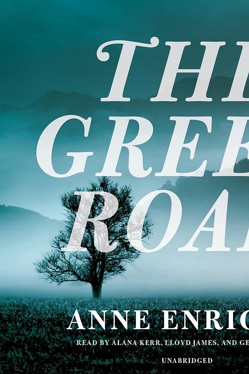 Cover Art for 9781483084718, The Green Road by Anne Enright