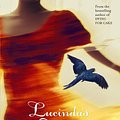 Cover Art for 9781742610948, Lucinda's Whirlwind by Louise Limerick