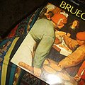 Cover Art for 9780195199536, Bruegel by Walter S. Gibson