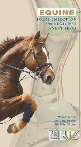 Cover Art for 9780615420332, Equine Joint Injection and Regional Anesthesia by William Moyer