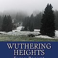 Cover Art for 9781542894166, Wuthering Heights by Emily Bronte