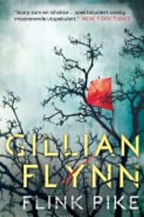 Cover Art for 9788281692374, Flink pike by Gillian Flynn