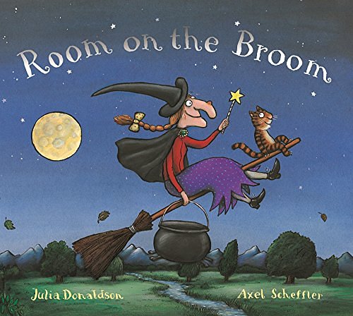 Cover Art for 9780333903384, Room on the Broom by Julia Donaldson