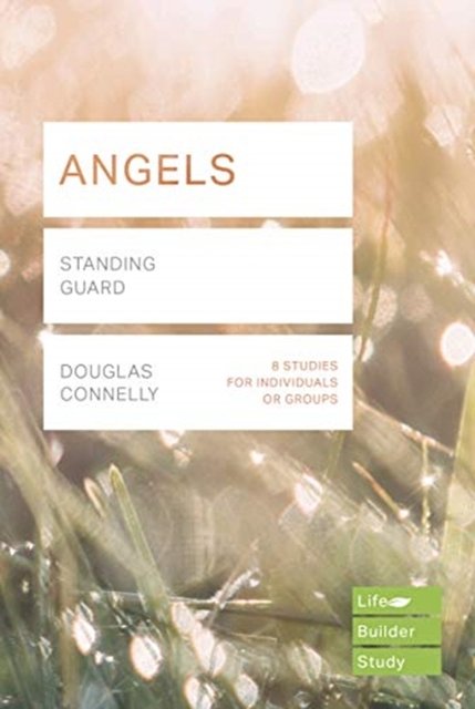 Angels (LifeBuilder Bible Study)
