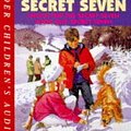 Cover Art for 9781859983508, Shock for the Secret Seven by Enid Blyton